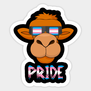 Camel Transgender Flag Lgbt Sticker